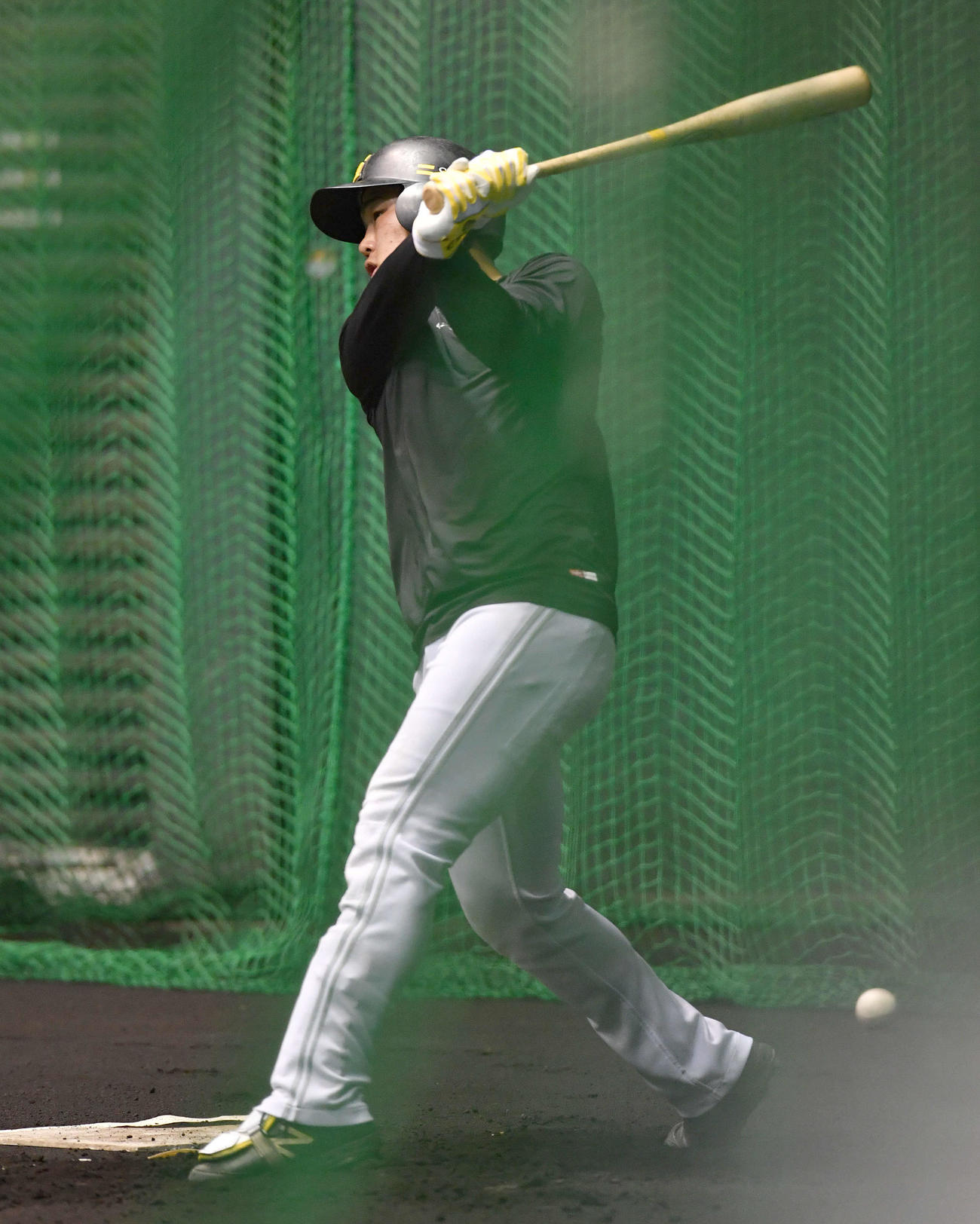 アーリーワークで特打を行う井上（撮影・岩下翔太）