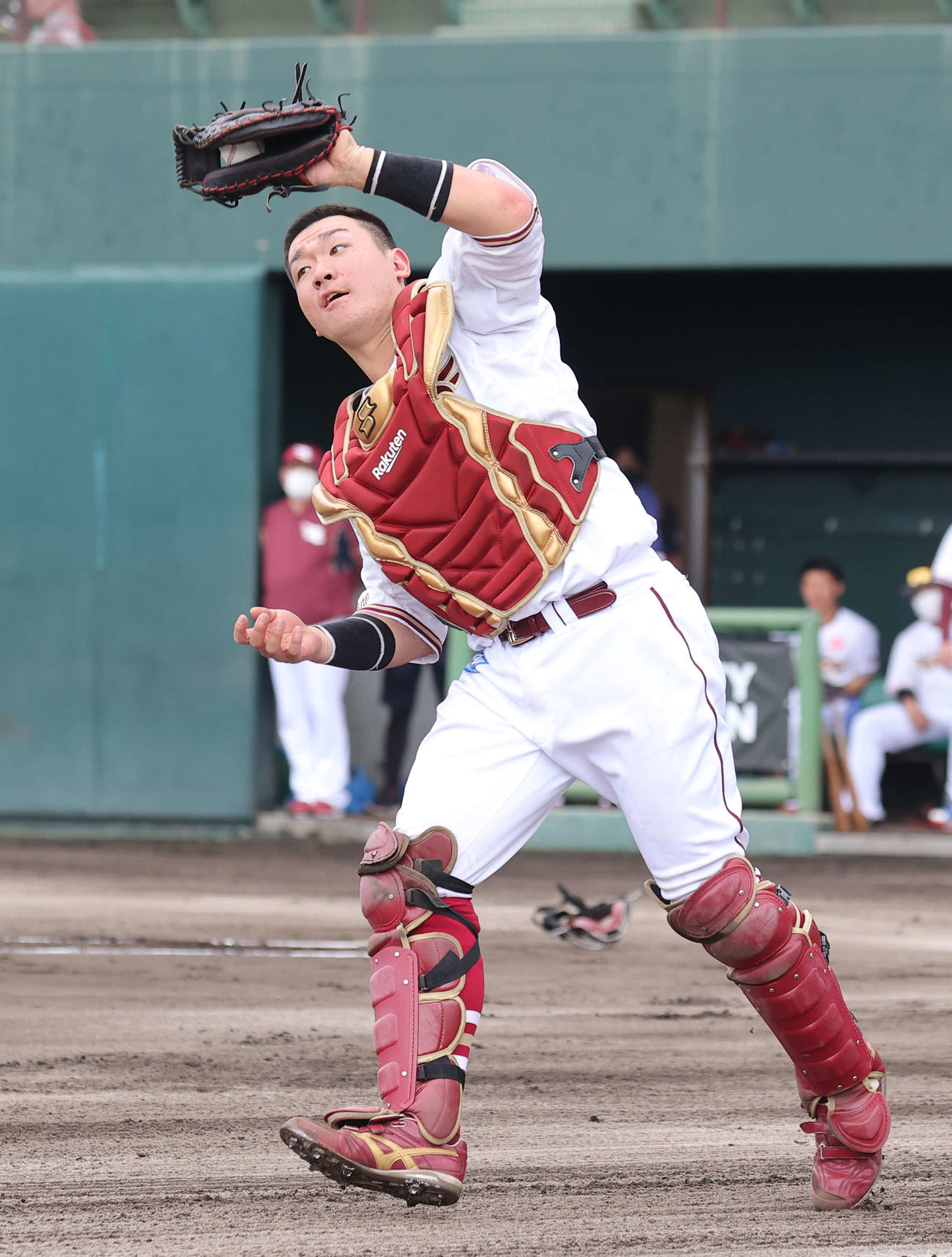 練習試合　楽天対日本ハム　1回表日本ハム1死、杉谷の邪飛を捕球する捕手安田（撮影・河野匠）