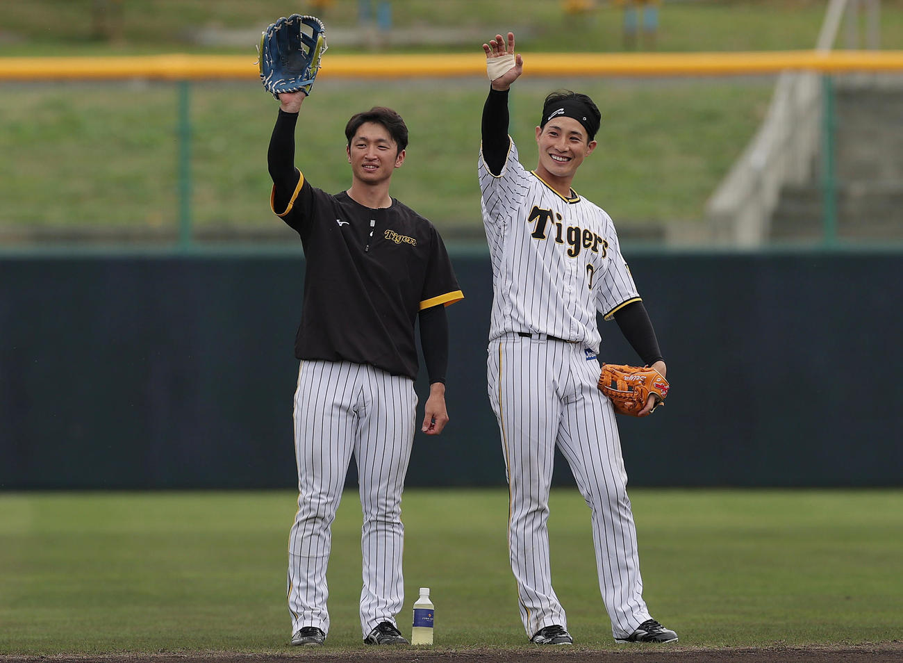 阪神井上一樹ヘッドコーチによる「愛の無事着」デスノックに臨む近本（左）と木浪（撮影・前田充）