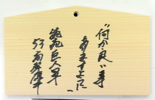 青島神社の絵馬に書かれた巨人高梨の今季目標（撮影・たえ見朱実）