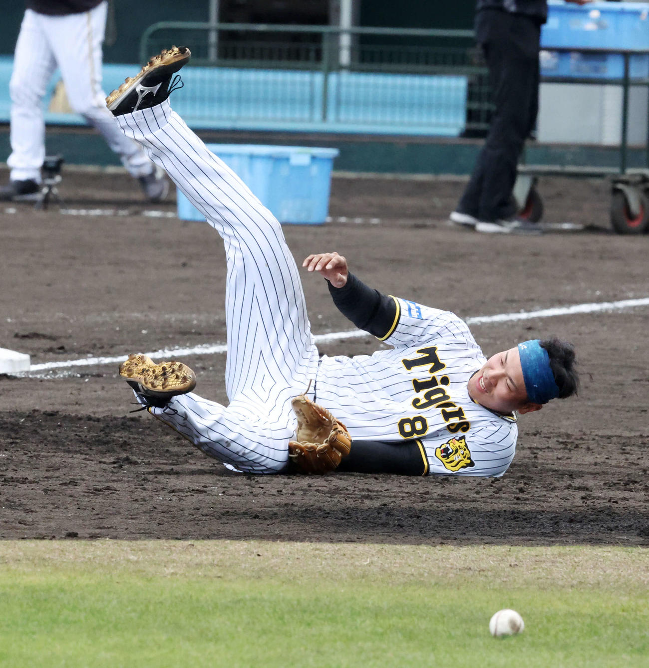 矢野監督ノックを受ける阪神佐藤輝（撮影・加藤哉）