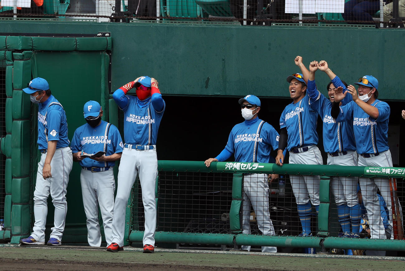 巨人対日本ハム　3回表日本ハム1死一、二塁、石井が2点適時二塁打を放ち、チームメートが喜ぶ中、なぜか頭を抱える新庄監督（撮影・狩俣裕三）