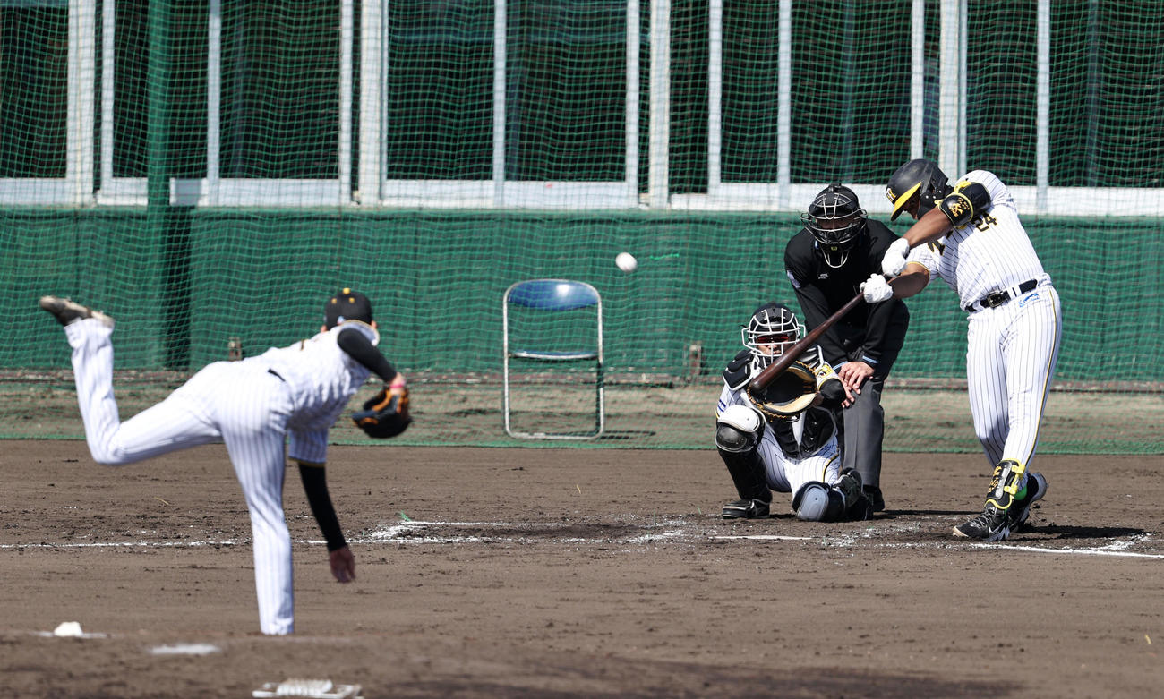 シシート打撃練習で及川（左）から右前打を放つロハス（撮影・加藤哉）