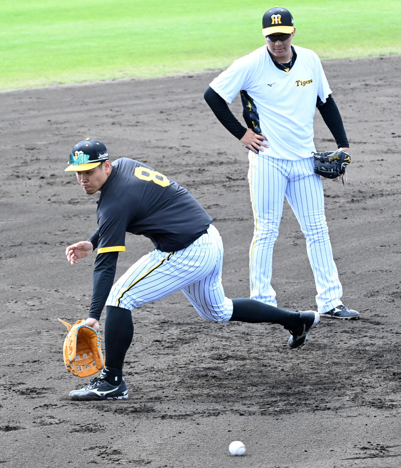三塁でノックを受ける佐藤輝（左）と大山（撮影・前岡正明）
