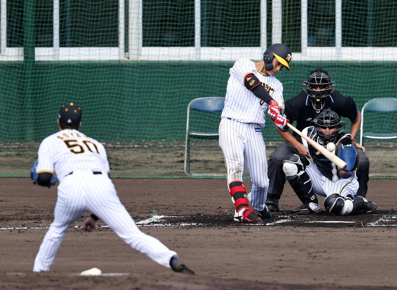 シート打撃練習で青柳（左）から中越え本塁打を放った木浪（撮影・加藤哉）