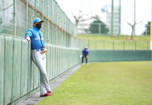 中日対日本ハム　フェンスに寄り掛かって試合を見る日本ハム新庄監督（撮影・鈴木みどり）