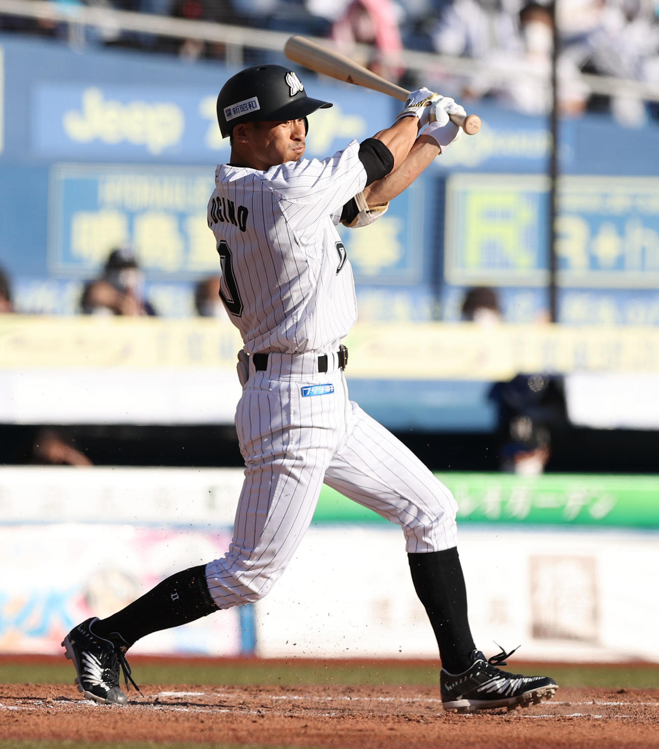 ロッテ荻野貴司（2021年10月30日撮影）
