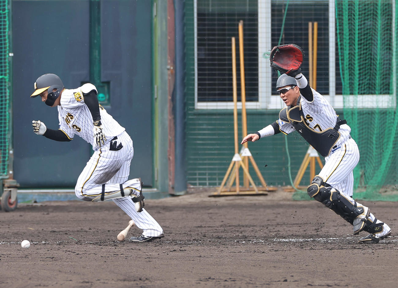 ケース打撃練習一、二塁、大山は一塁線にバントを決める（撮影・上山淳一）
