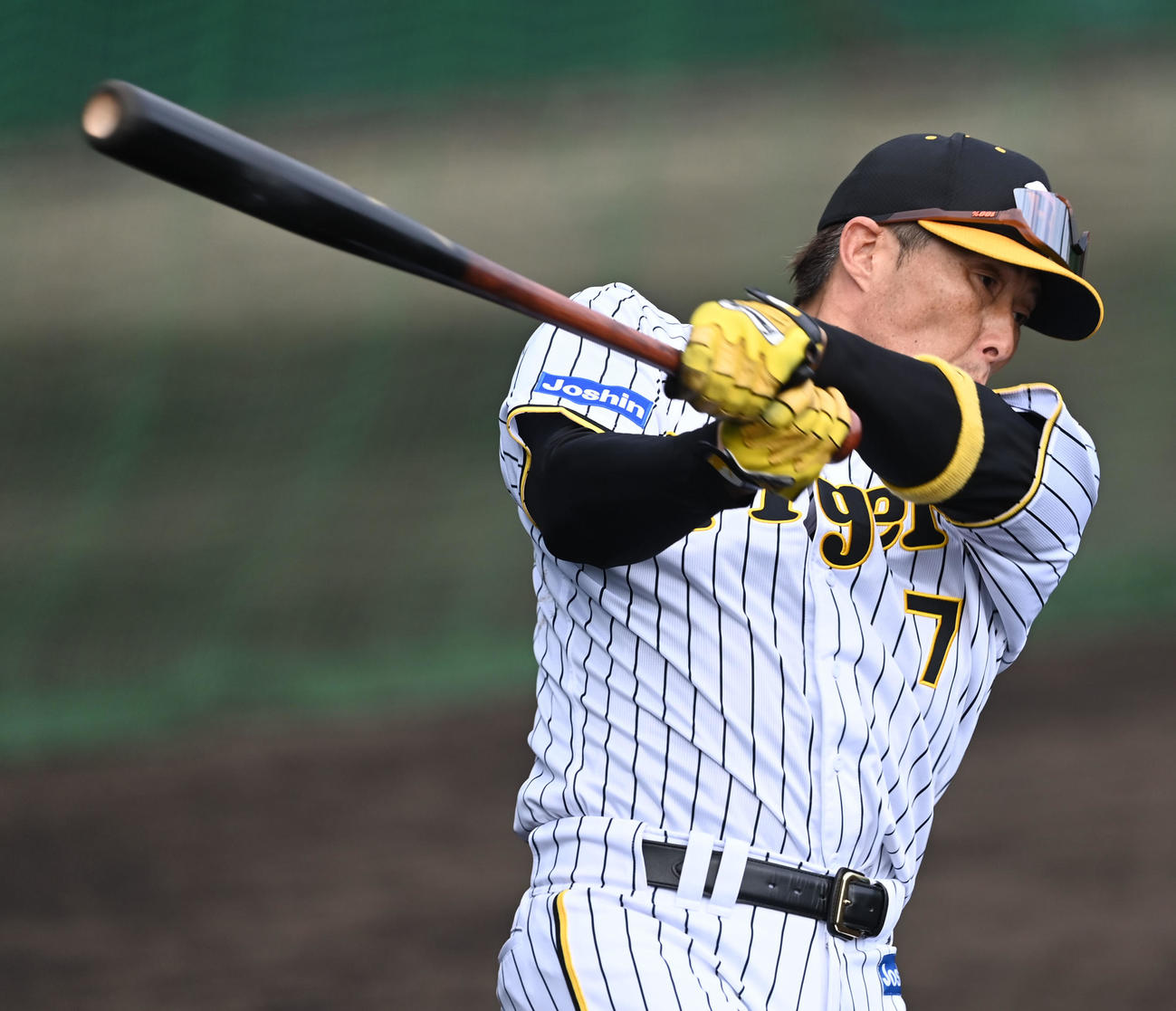 ロングティーを行う阪神糸井（撮影・前岡正明）