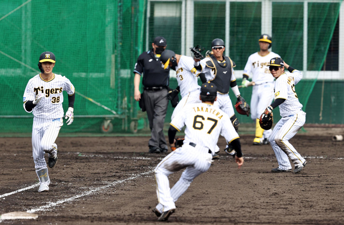 ケース打撃練習でセーフティースクイズを成功させる小幡（撮影・加藤哉）