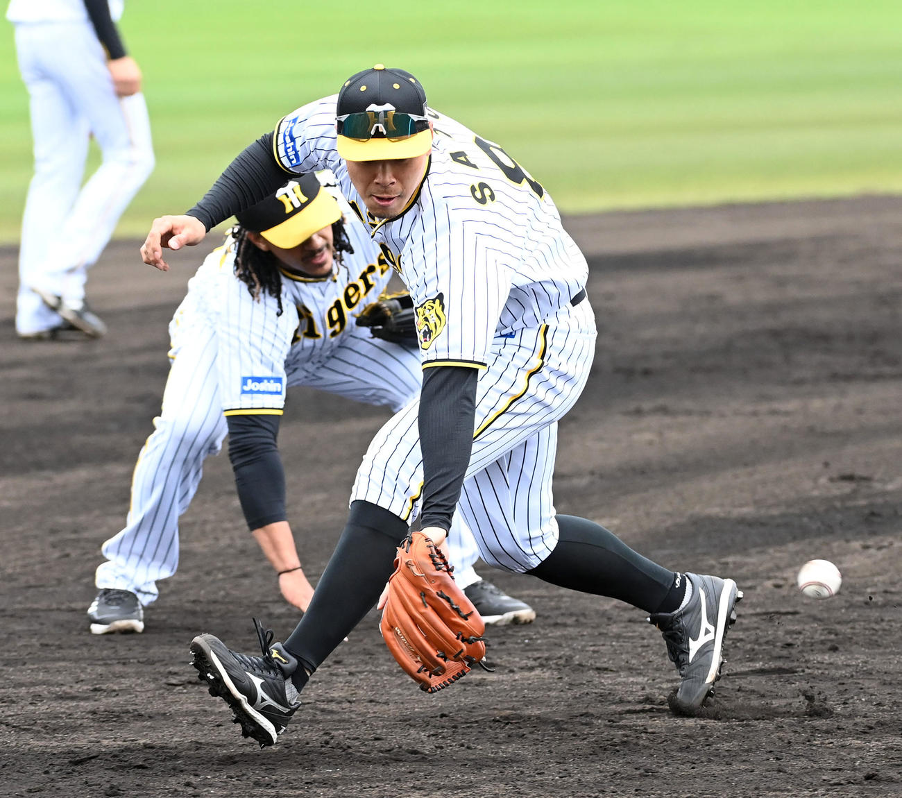 三塁でノックを受ける阪神佐藤輝（撮影・前岡正明）