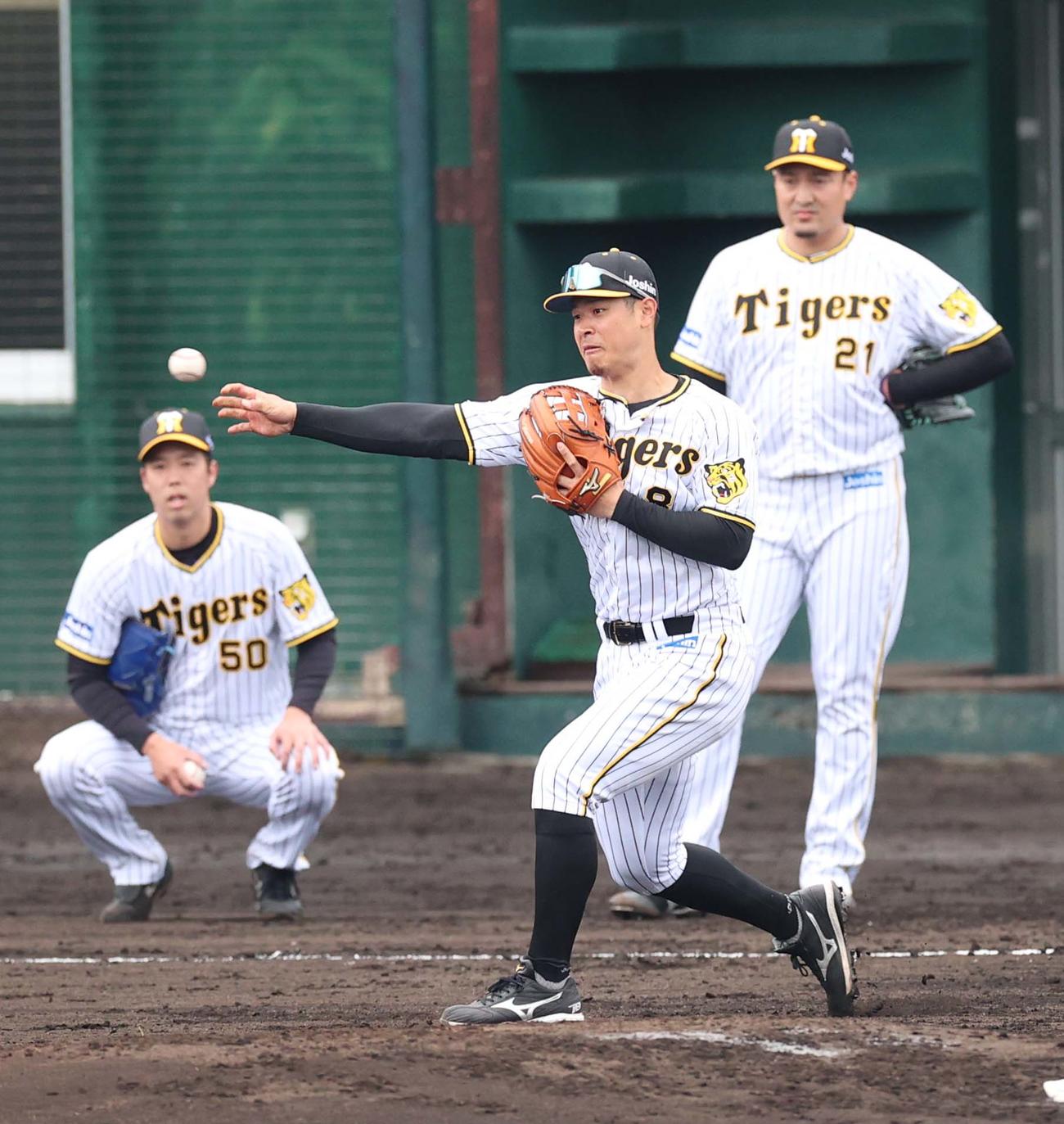 17日、投内連係プレーの練習をする佐藤輝明。後方左から青柳晃洋と秋山拓巳（撮影・上田博志）