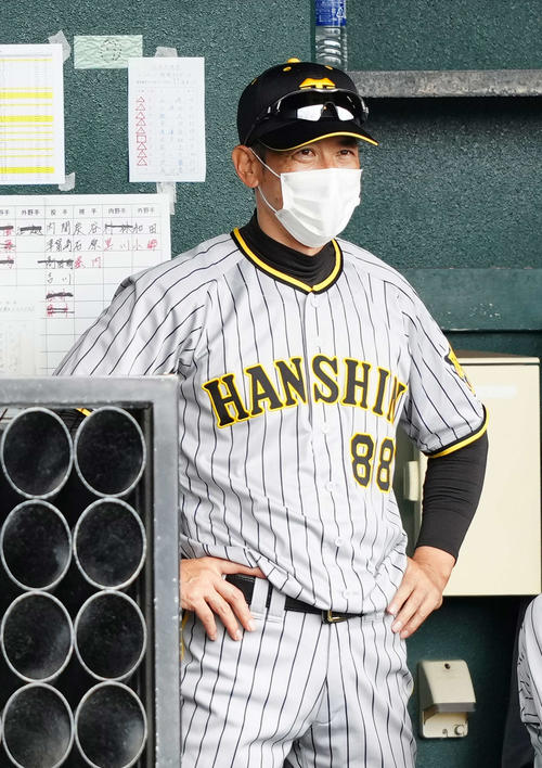 楽天対阪神　6回表、ベンチから戦況を見つめる阪神矢野監督（撮影・江口和貴）