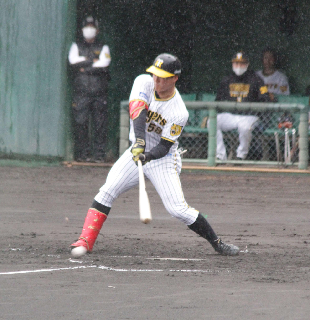 打席で豪快に振りに行く阪神ルーキーの前川