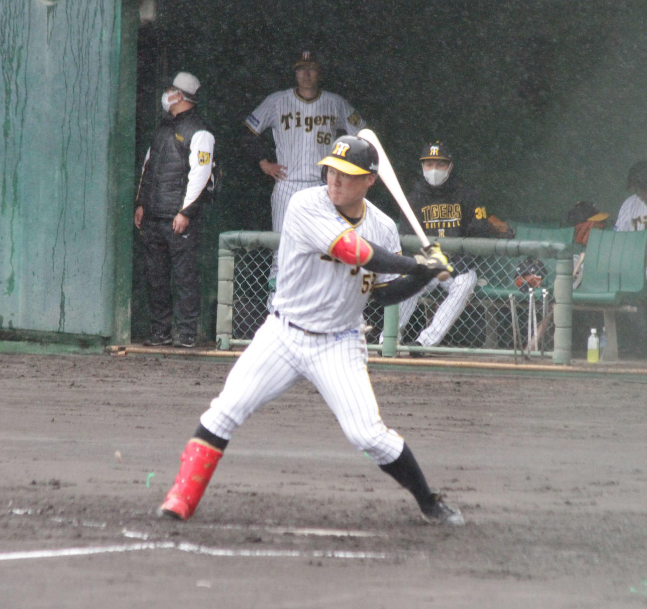打席で豪快に振りに行く阪神ルーキーの前川