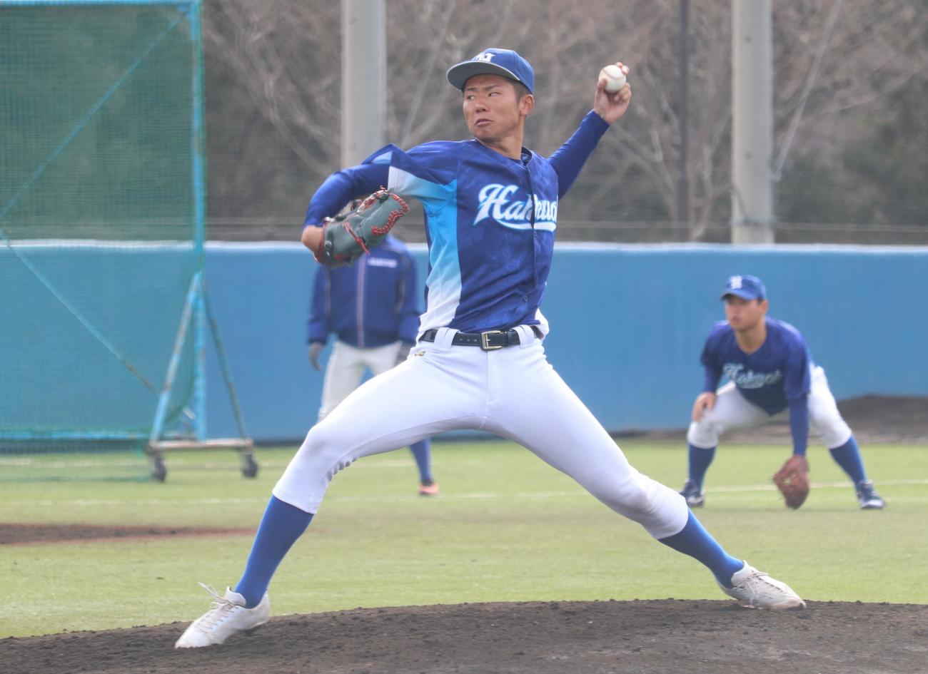 白鴎大紅白戦　先発した曽谷龍平投手（撮影・阿部泰斉）