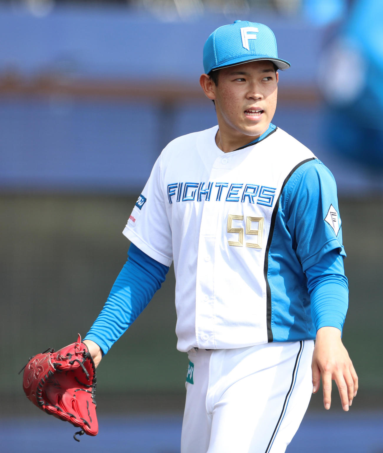 日本ハム対ロッテ　3回無失点でベンチに戻る日本ハム根本（撮影・佐藤翔太）