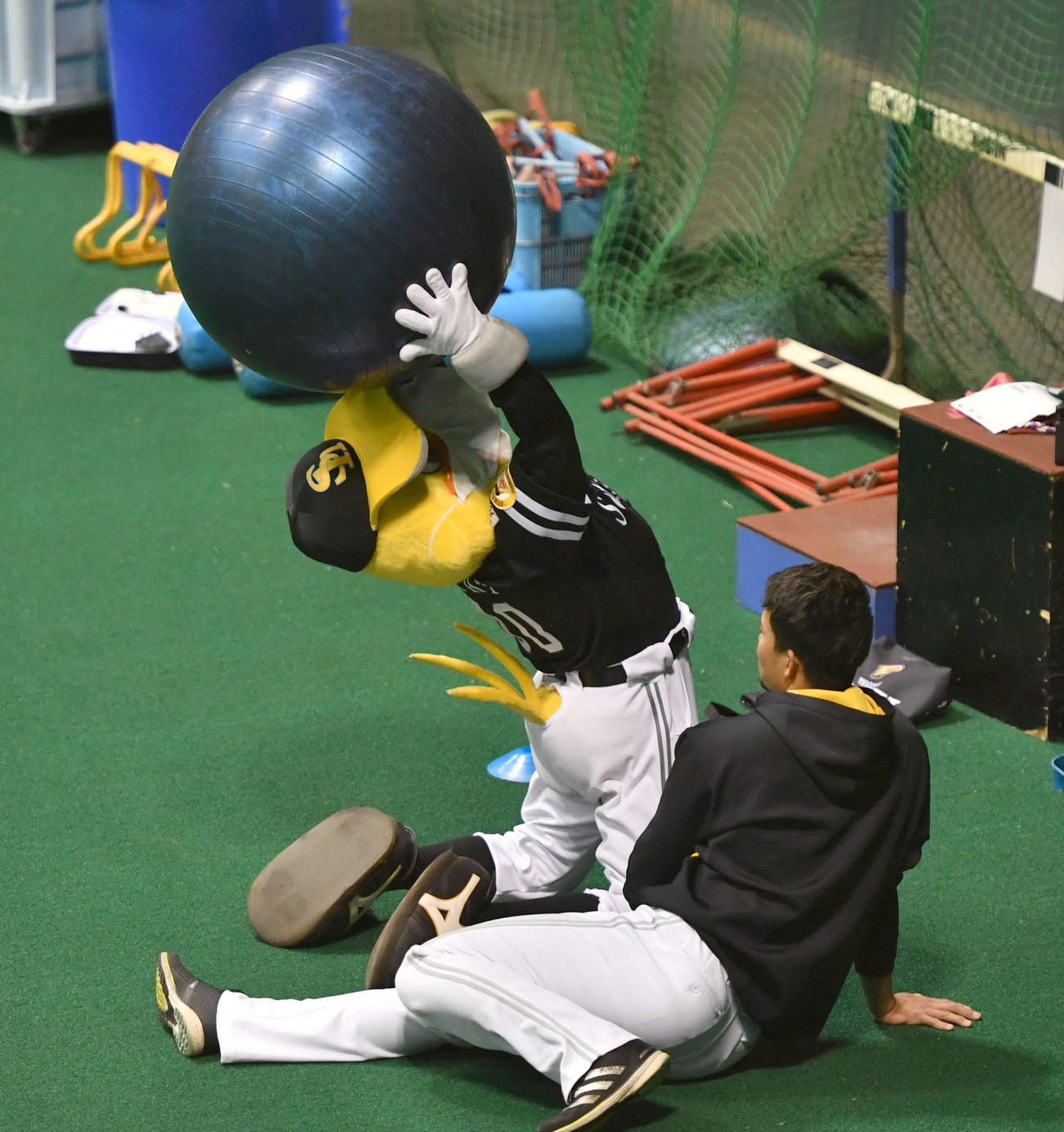 バランスボールを投げるハリーホークを見つめる千賀（撮影・岩下翔太）