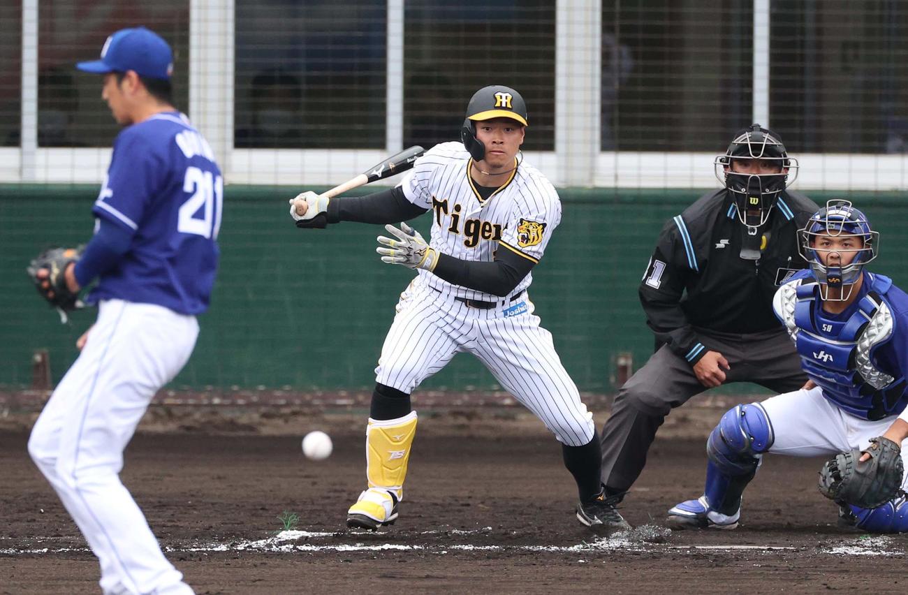阪神対中日練習試合　7回裏阪神1死一、二塁、中前に適時打を放つ佐藤輝（撮影・上田博志）