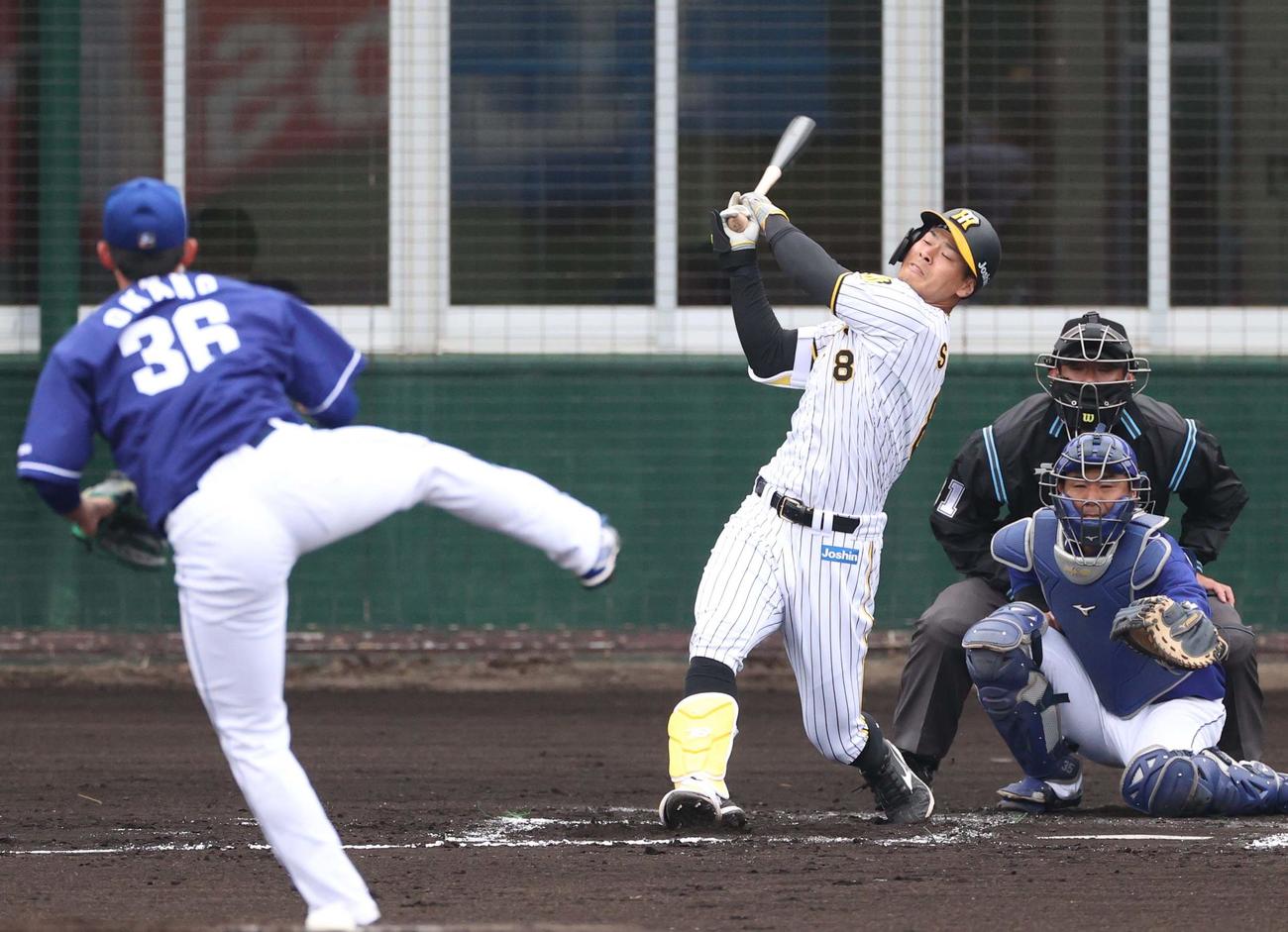 阪神対中日練習試合　2回裏阪神1死、三振に倒れる佐藤輝（撮影・上田博志）