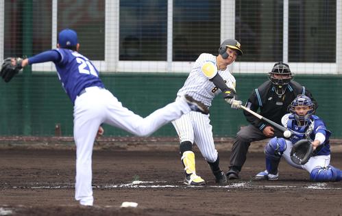 阪神対中日練習試合　7回裏阪神1死一、二塁、中前に適時打を放つ佐藤輝（撮影・上田博志）