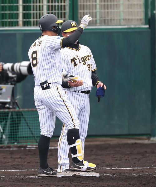 阪神対中日練習試合　7回裏阪神1死一、二塁、中前に適時打を放ちベンチに向かって手を上げる佐藤輝（撮影・上田博志）