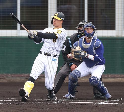 阪神対中日練習試合　2回裏阪神1死、三振に倒れる佐藤輝（撮影・上田博志）