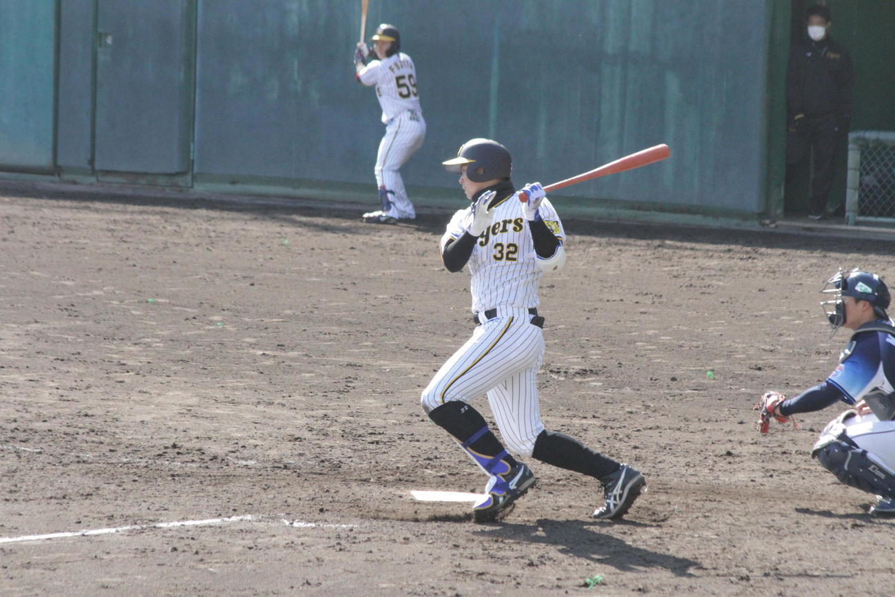 阪神井上は5回、右前適時打を放ち、2打席連続タイムリーと気を吐いた