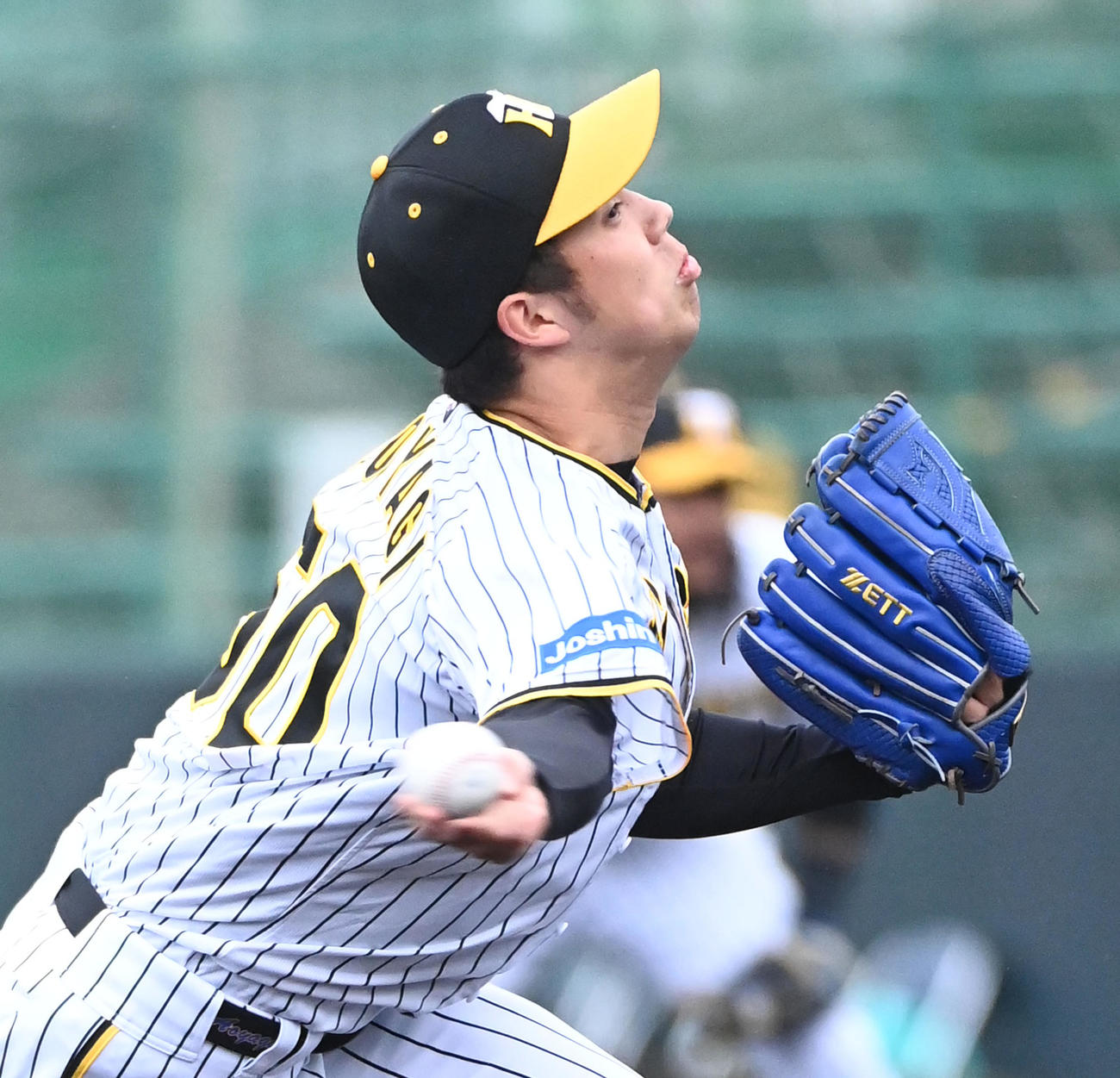 阪神対中日　阪神先発の青柳（撮影・前岡正明）