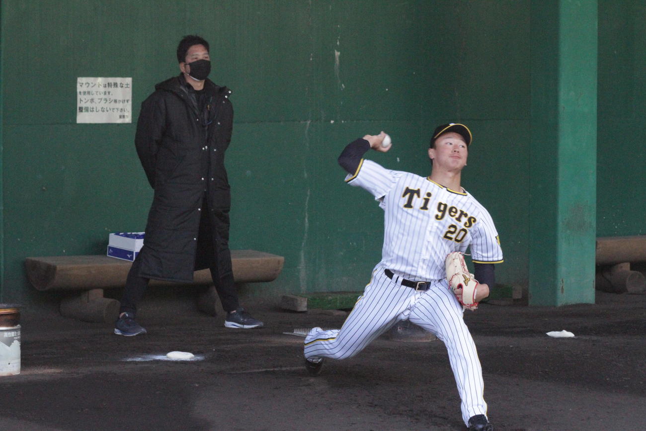 阪神藤川SAは森木のブルペン投球を背後からチェックする
