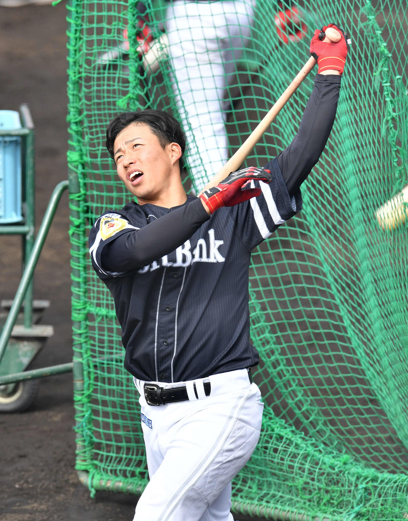 打撃練習を行う野村勇（撮影・岩下翔太）