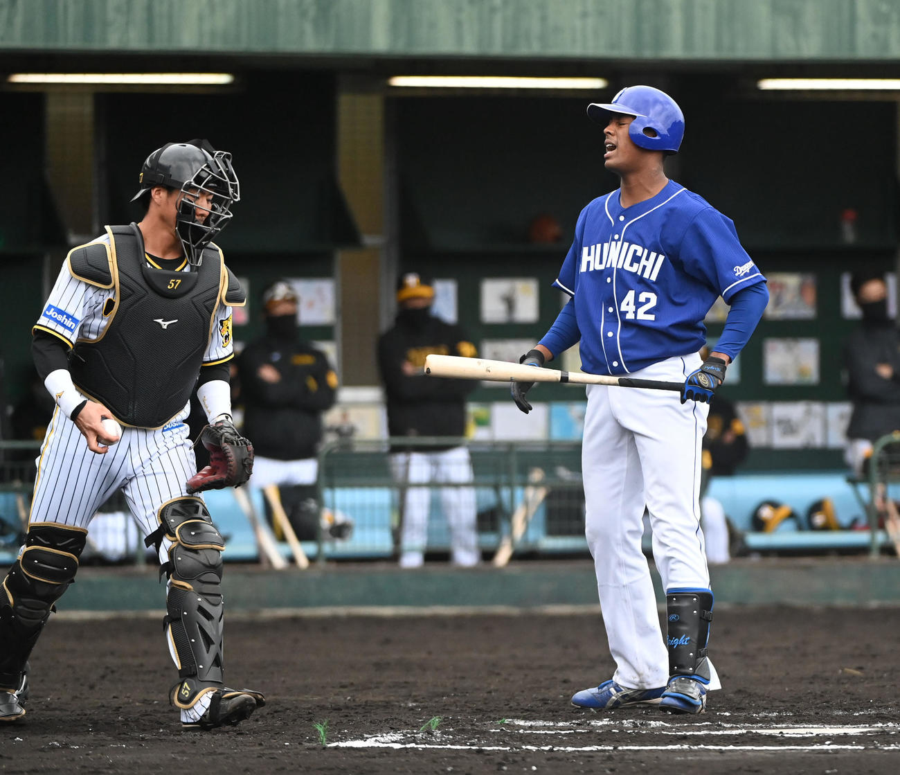 練習試合阪神対中日　7回表中日無死一塁、見逃し三振に倒れるブライト健太（右）（2022年2月20日撮影）