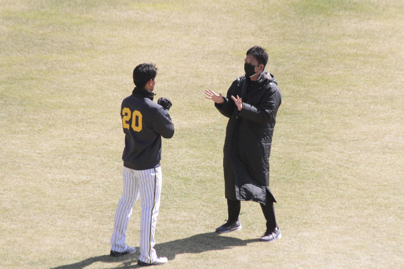 阪神藤川SA（右）は森木のブルペン投球をチェック後、身ぶり手ぶりで助言する