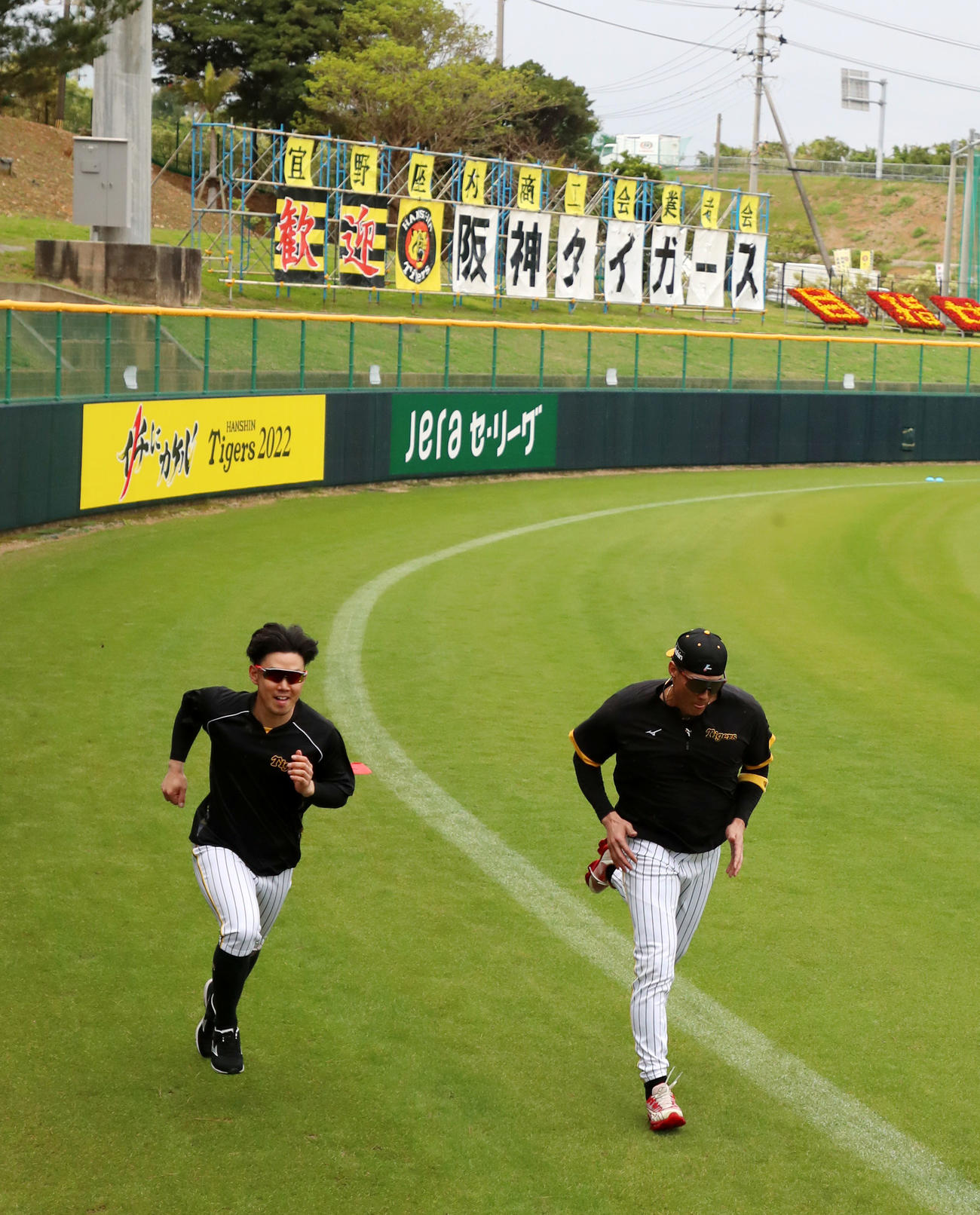 外野を強化走のメニューで走り込む阪神糸井（右）と糸原健（撮影・加藤哉）