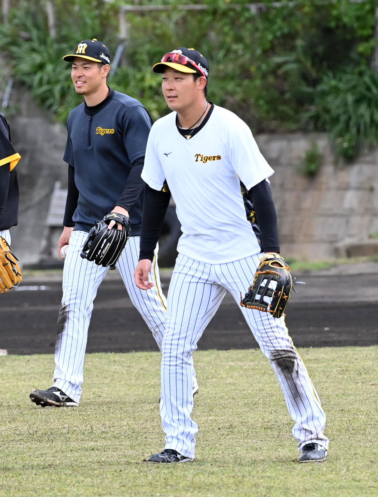 外野ノックを受ける阪神佐藤輝明（左）と大山（撮影・前岡正明）