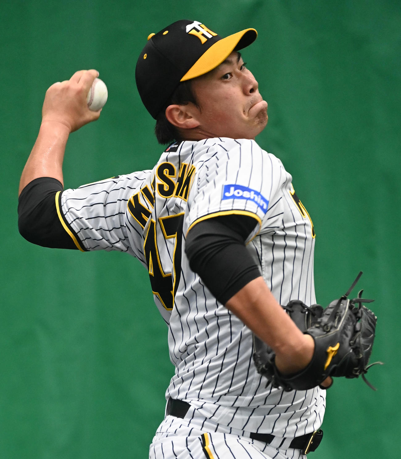 ブルペンで投球練習を行う阪神桐敷拓馬（撮影・前岡正明）