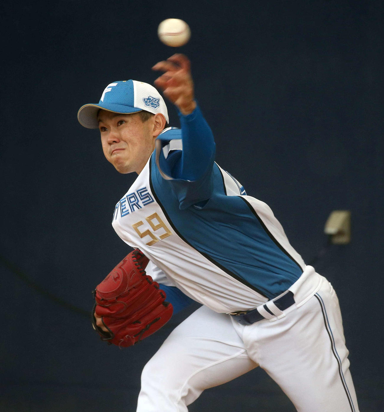 日本ハム根本悠楓（22年2月3日撮影）