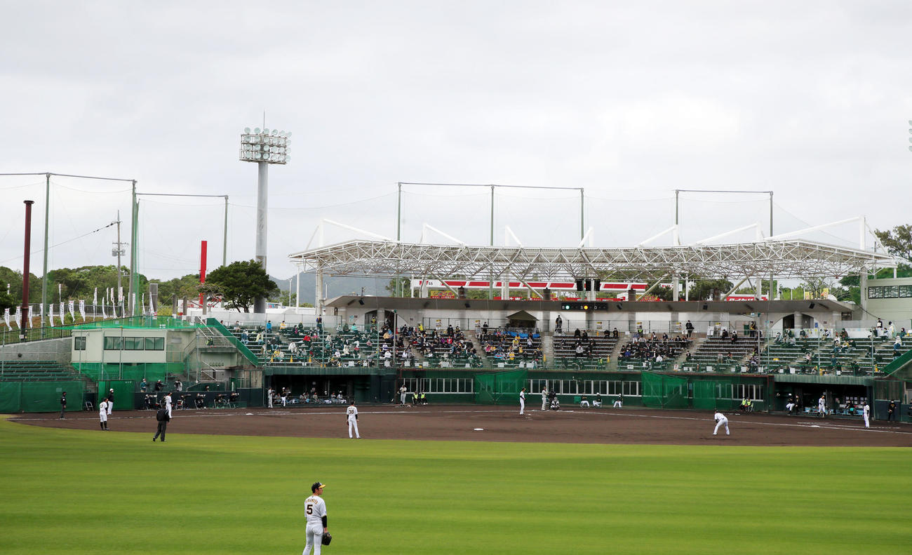 紅白戦　2回表紅組無死、打者佐藤輝のとき遊撃手が二塁守備位置付近まで移動する「テルシフト」を敷く（撮影・加藤哉）
