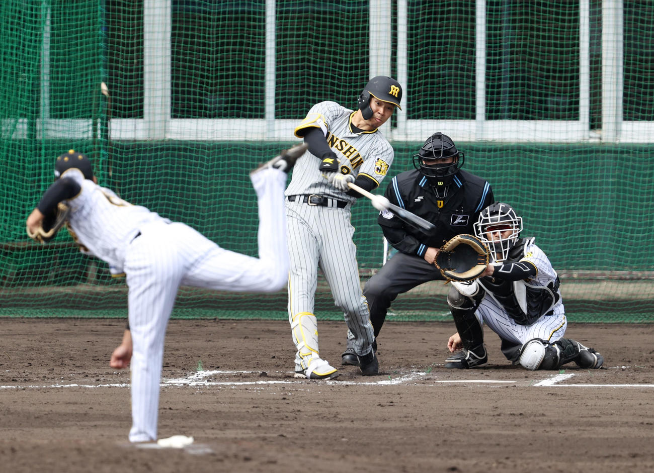 紅白戦　7回表紅組無死、佐藤輝は右越え本塁打を放つ。投手は湯浅（撮影・加藤哉）