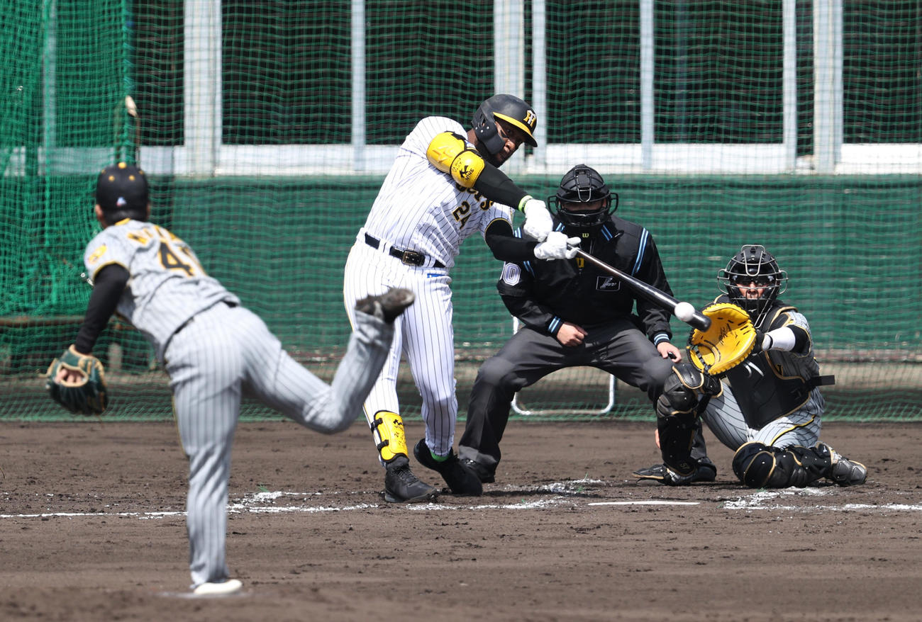 紅白戦　3回裏白組1死二、三塁、ロハスは右に二塁適時打を放つ。投手は村上（撮影・加藤哉）