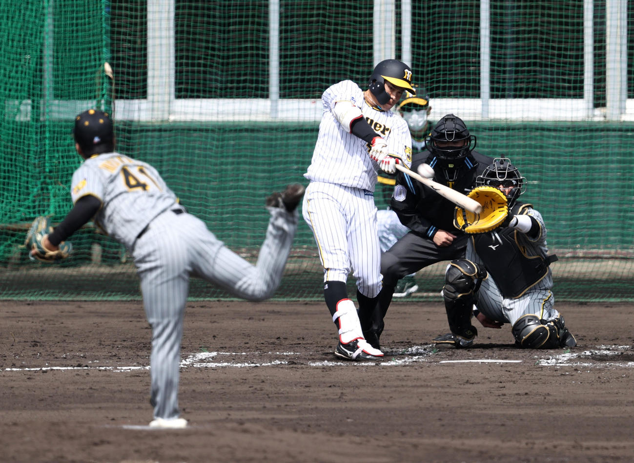 3回裏白組1死、遠藤は右越え本塁打を放つ。投手は村上（撮影・加藤哉）