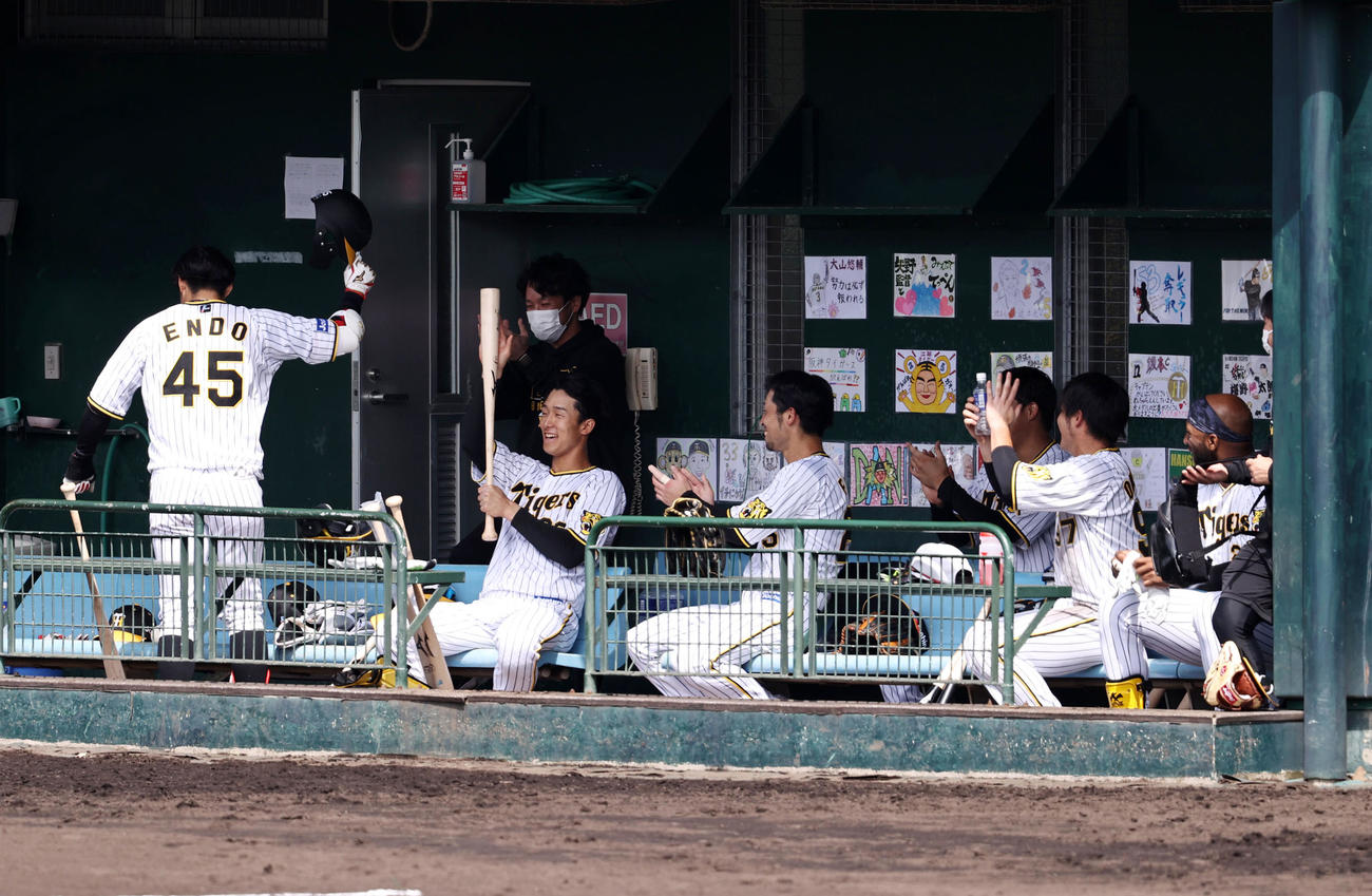 紅白戦　3回裏白組1死、遠藤は右越え本塁打を放ち生還してベンチへ戻りサイレントトリートメントで迎えられた（撮影・加藤哉）