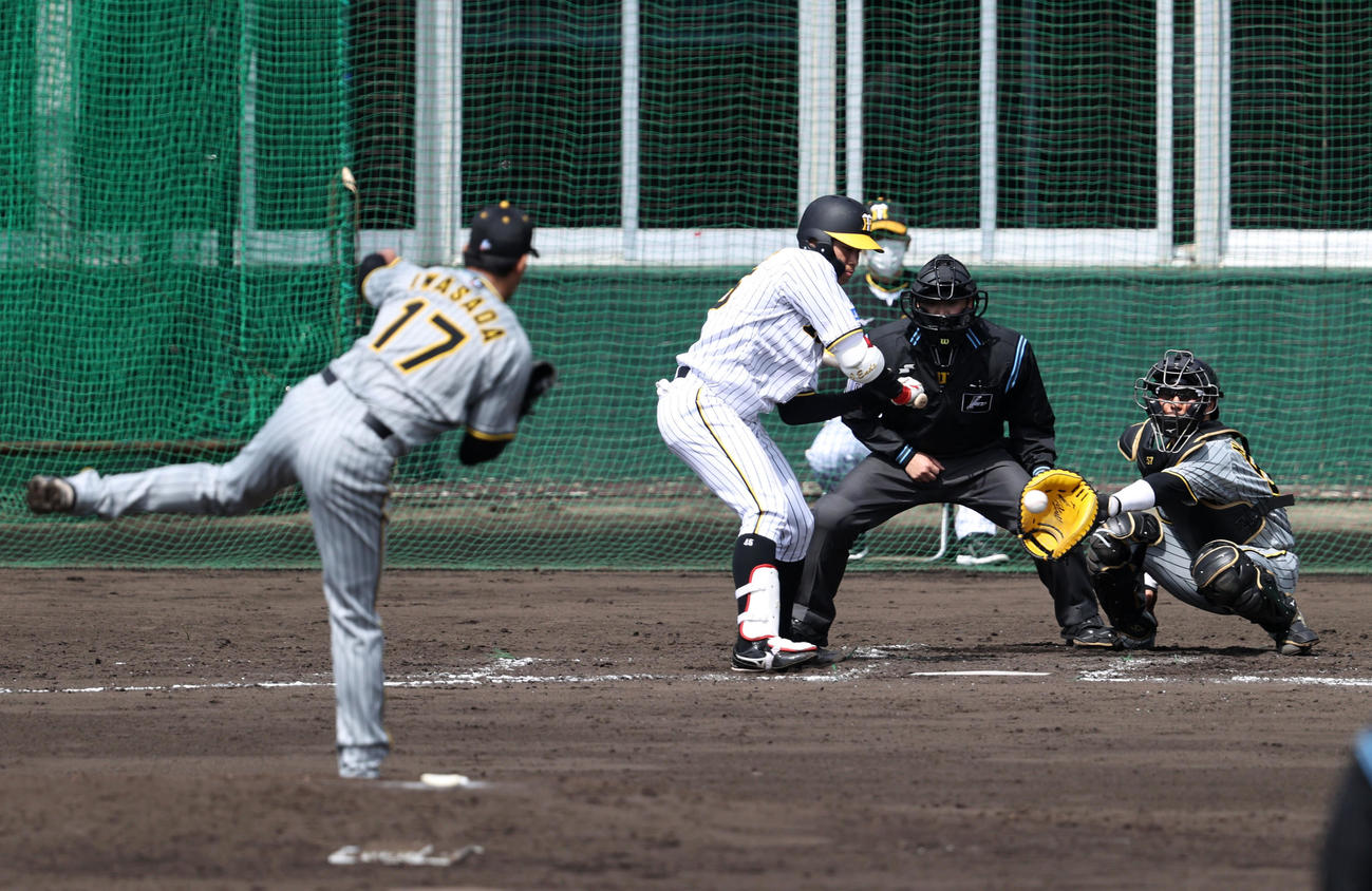4回裏白組2死三塁、遠藤は見逃し三振に倒れる。投手は岩貞（撮影・加藤哉）