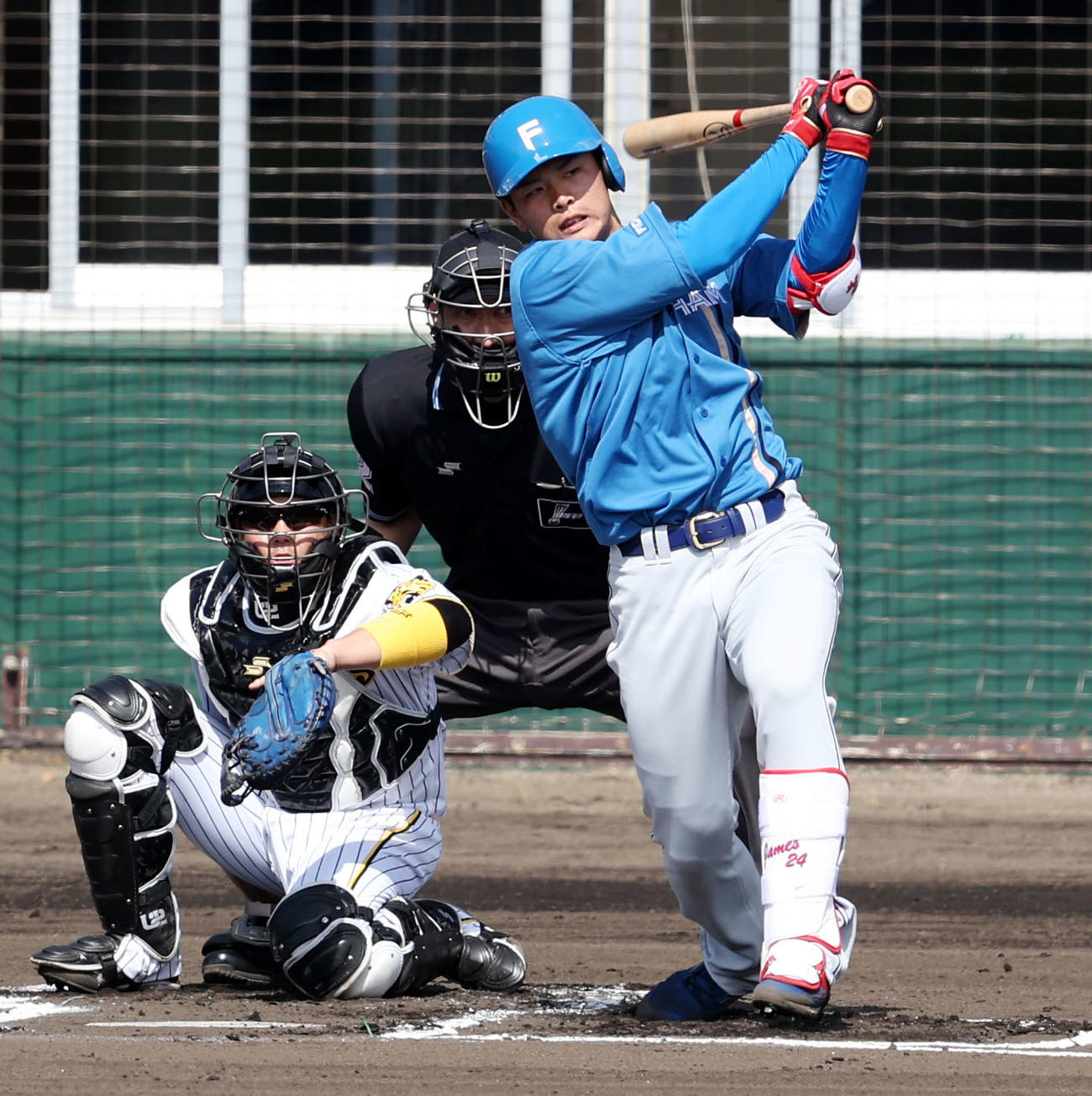 日本ハム野村佑希（22年2月8日撮影）