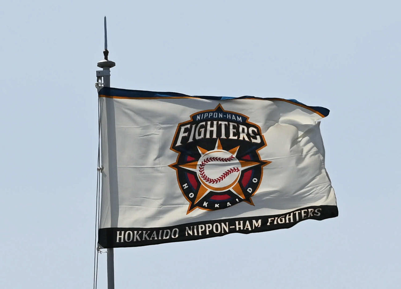 日本ハム球団旗（2021年3月27日）