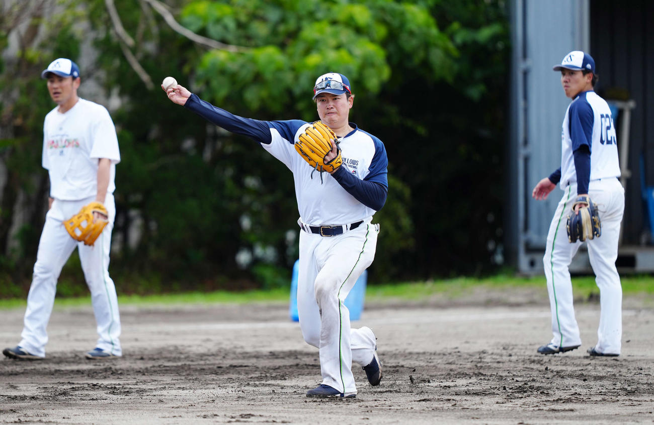 守備練習でノックを受けるヤクルト村上（中央）。左は荒木、右は赤羽（撮影・江口和貴）