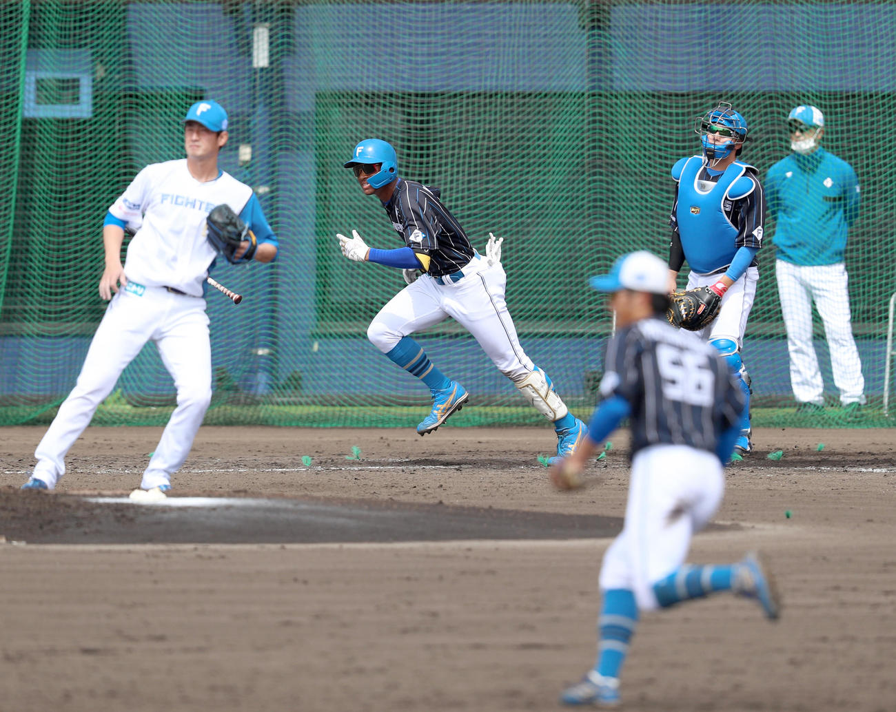 シート打撃で安打を放つ日本ハム万波（撮影・佐藤翔太）