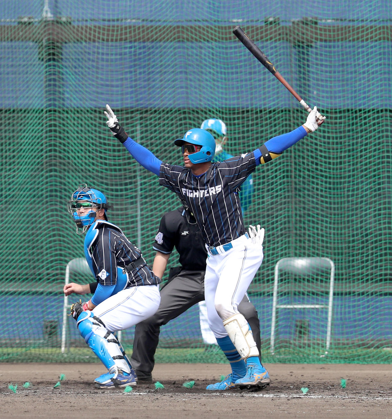 シート打撃で安打を放つ日本ハム万波（撮影・佐藤翔太）