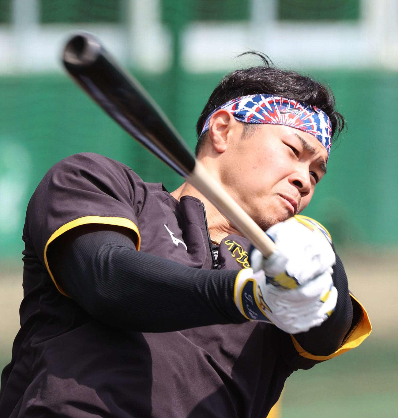 阪神佐藤輝明（2月25日撮影）
