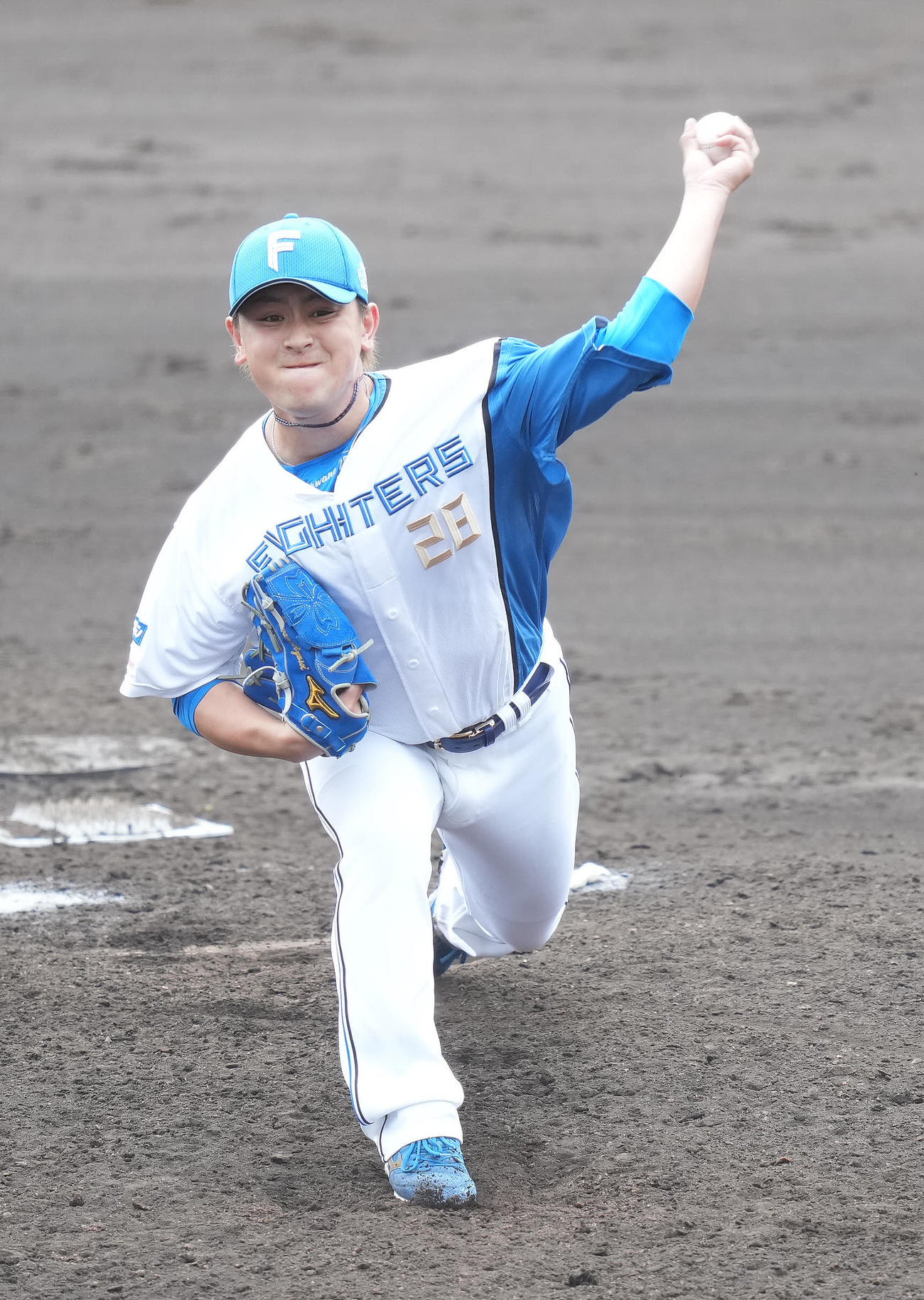 日本ハム対DeNA 6回表から5番手で登板した日本ハム河野（撮影・鈴木みどり）